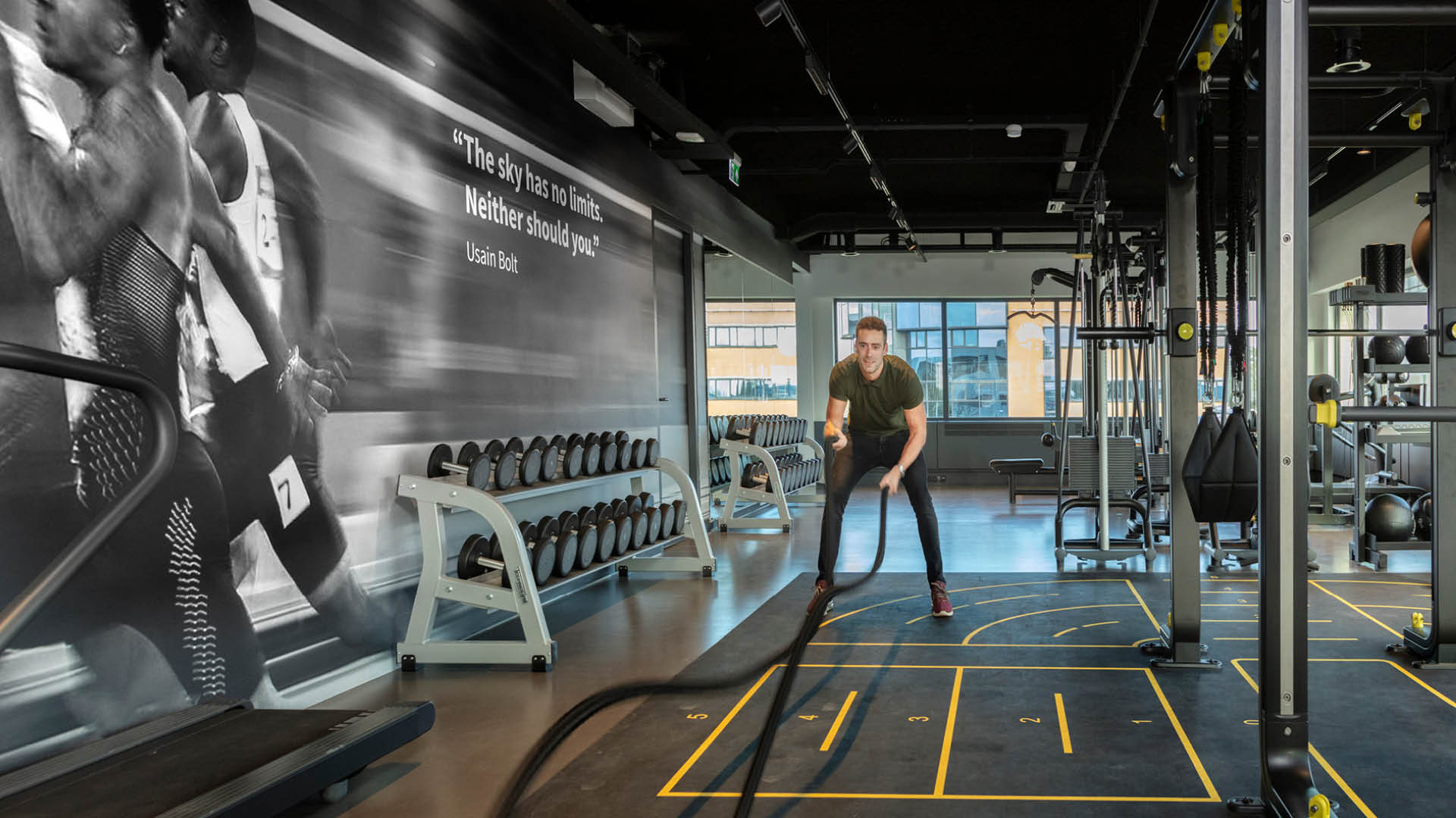 Web ATO gym do